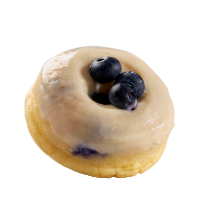 Blueberry Protein Donut